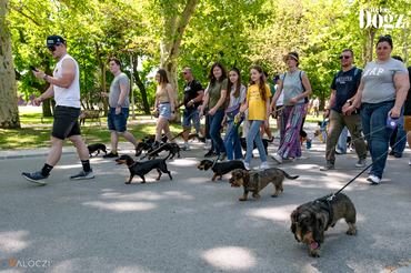 tacskó falkaséta dogz fesztivál 2025