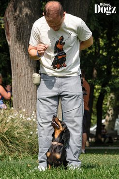 tacskót oktatja a gazdája