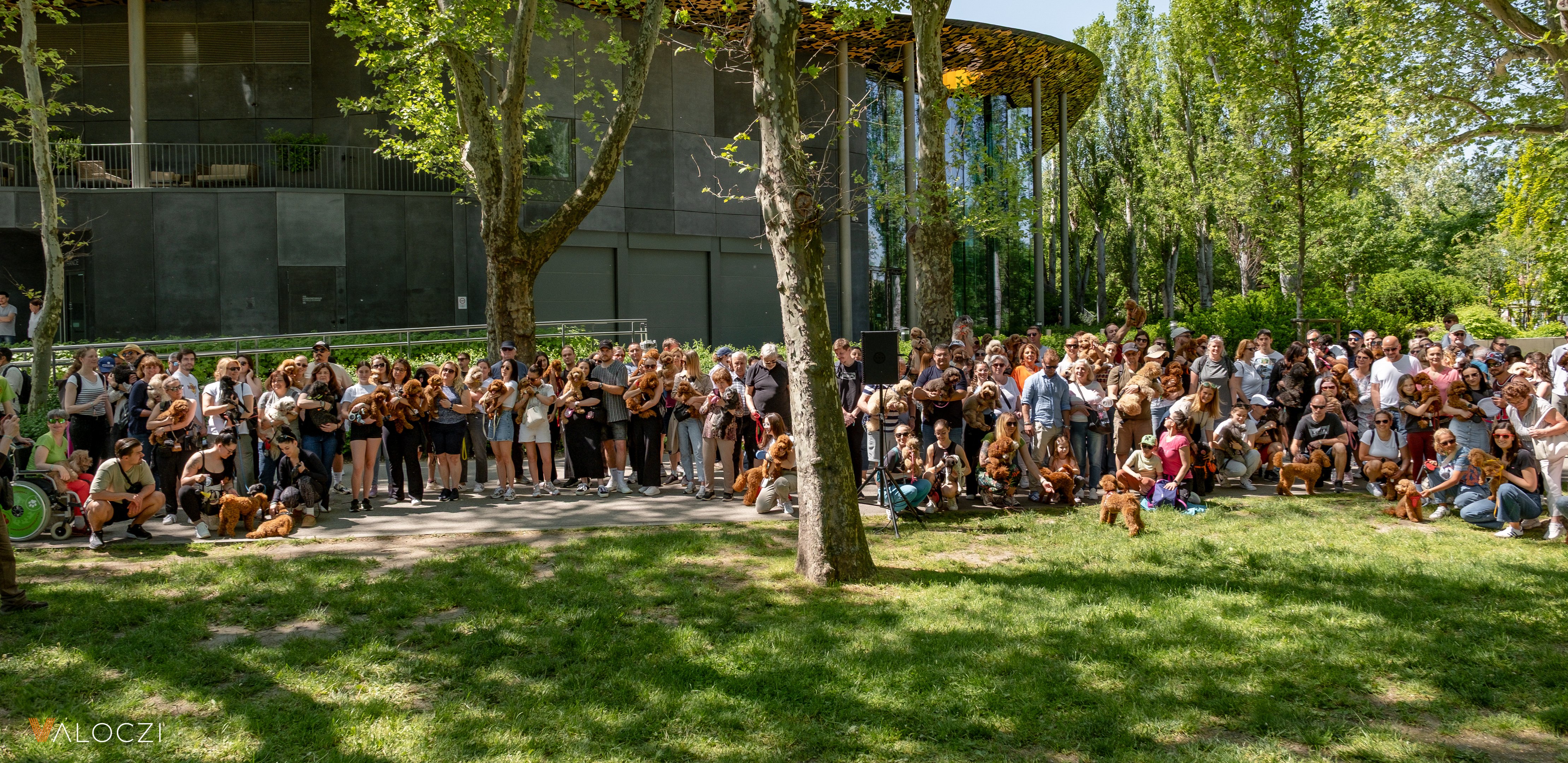Uszkárfalkaséta a DOGZ Fesztivál 2025-ön