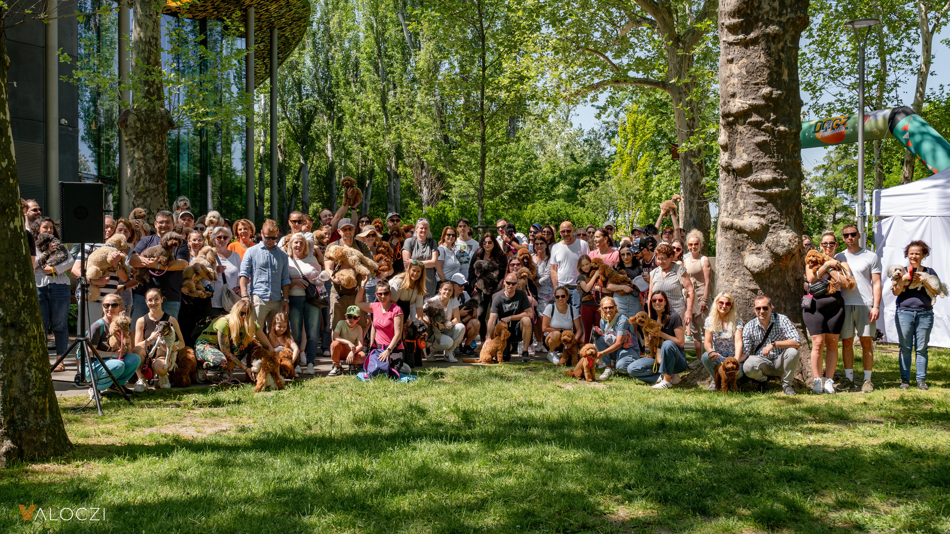 Uszkárfalkaséta a DOGZ Fesztivál 2025-ön