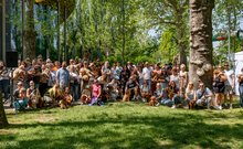 Uszkárfalkaséta a DOGZ Fesztivál 2025-ön