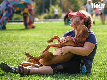 vizsla boldogan nyalogatja a gazdát